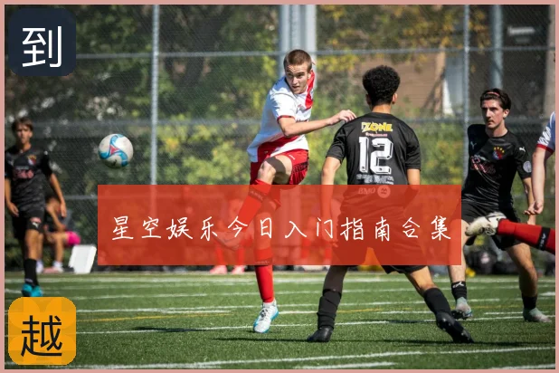 星空娱乐今日入门指南合集